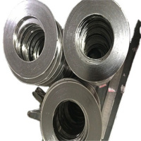 静牌缠绕垫φ558*516*488*472*4.5石墨+304不锈钢带内外环型