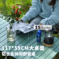Diplomat外交官折叠蛋卷桌-DHW-117*59*44cm