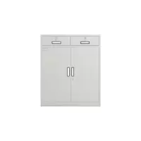 臻远二斗下节资料柜文件柜 ZY-KLP-G065 900*850*390灰白色厚度0.6mm