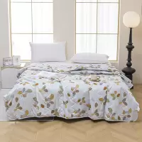 杉杉FIRS 花语年华爽肤纤维被