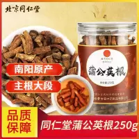 北京同仁堂蒲公英根恒温烘焙新鲜现炒婆婆根茶正宗原产黄花苗根泡水入汤煎服养生茶250g/罐