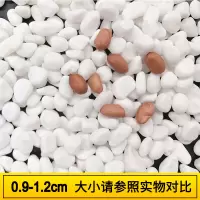 鹅卵石天然雨花石小白石子 0.9-1.2CM五斤装