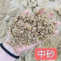 Hittery 沙子 中粗砂 机制砂 建筑用沙(单位:方)