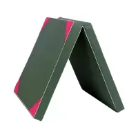 雷扬 体操垫体能训练防护垫障碍攀爬坠落保护垫1.2mx0.6mx10cm