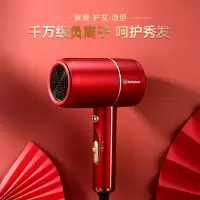 西屋(WESTINGHOUSE) -电吹风 H101