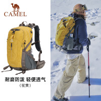 骆驼(CAMEL)户外徒步登山大容量轻便专业运动双肩背包(40L) A1W3QJ111