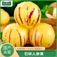 [苏鲜生]云南特产 石林人参果 精选 净重5斤 大果 单果70-90g 熟果 香甜可口 新鲜应季水果