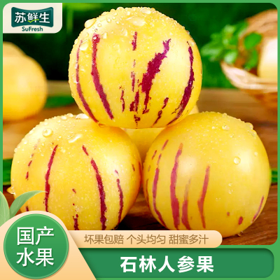 [苏鲜生]云南特产 石林人参果 精选 净重5斤 大果 单果70-90g 熟果 香甜可口 新鲜应季水果