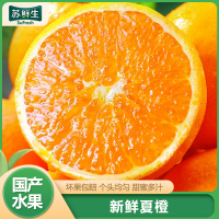 [苏鲜生]彩箱装 广西桂林夏橙 4.5斤 大果 单果75mm以上 新鲜橙子应当季水果