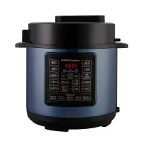 荣事达 家庭聚会大容量电压力锅YDG50-100A157(LB)/个