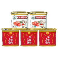 梅林金装午餐肉罐头340g*3+天坛牌火腿猪肉罐头340g*2罐