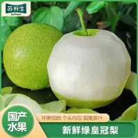 [苏鲜生]精品绿皇冠梨 新鲜水果 松脆多汁 净重8.5-9.5斤 单果250g以上