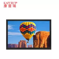 康 普 瑞 (KAPURUI)22英寸液晶显示器安防监控用监视器工控自动化高清显示屏带BNC/HDMI接口壁挂式