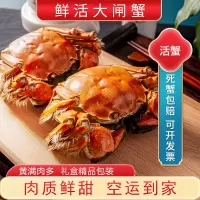 蟹灵阁活蟹大闸蟹鲜活特大螃蟹海鲜水产湖蟹毛蟹公非全母新鲜六月黄3.0-3.3两8只