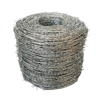 BINGTUO刺绳防爬网铁丝网防爬带刺防盗网钢丝网围护栏 双股合金钢丝刺绳200米