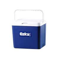 ESKY大容量户外保温箱冷藏箱包 便携式车载保温箱外卖箱送快餐箱EPS 10L(3个冰袋)