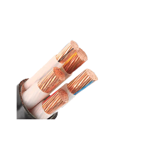 正泰YJV4*50+1*35 黑护套缆 单米装