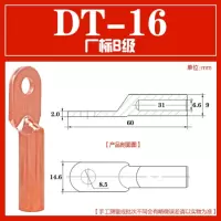 士高电气铜线鼻子接线端子DT-16*10只