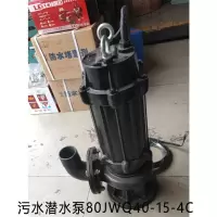 H 污水潜水泵80JWQ40-15-4C