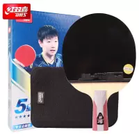 红双喜 狂飚乒乓球拍 直拍双面反胶弧圈结合快攻5星单拍H5006(附拍套)