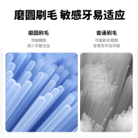 笨笨 马 电动牙刷 BY01