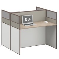 臻远ZYGW-037职员桌办公桌屏风工作卡位 对坐双人位