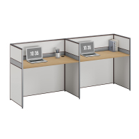 臻远ZYGW-006职员桌办公桌屏风工作卡位 直排双人位