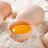 臻味有机鸡蛋 单枚
