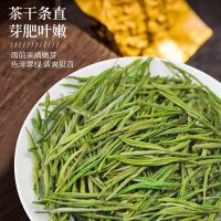 安吉白茶2024年新茶 白峰500克新茶