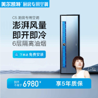 美尔凯特(MELLKIT)厨房空调专用机1匹制冷机冷暖大1匹集成吊顶嵌入式冷风机C5