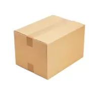 五层瓦楞空白纸箱 长51cm宽29cm高46cm 50个 (H)