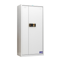 臻远 ZYJJ-80009 保密柜密码文件柜保密档案资料柜钢制密码锁保密 常规通门指纹锁