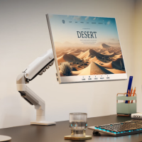 NB气弹簧显示器支架 F80-W 白色