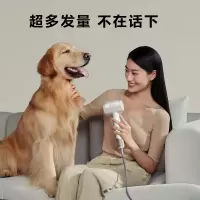 SKG高速吹风机HD3白色