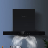 创维 油烟机 CXW-300-Y8013