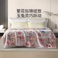 富安娜(FUANNA)双层云毯\ 汐瑶 200*230cm
