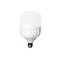 福照照明灯泡10W