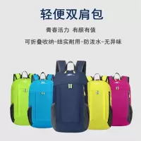 匹克(peak) 双肩户外背包20L