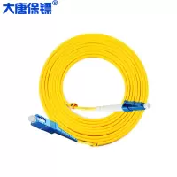 大唐保镖 电信级单模单芯光纤跳线 SC-LC-10 10米 单模单芯光纤跳线(电信级)