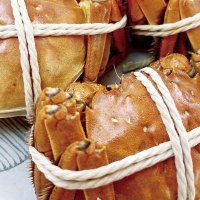 鲜禾鲜 大闸蟹礼盒 2698型