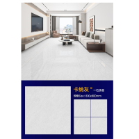 大理石瓷砖800x800地砖全瓷地板砖