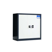 DXBG保密柜财务档案柜文件柜办公室资料储物柜保险柜矮柜灰白-国保密码锁