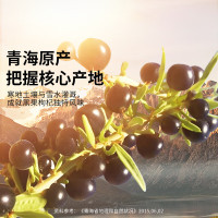 同仁堂&青源堂黑果枸杞500g(250gX2瓶)-(甲级)