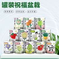 花e流创意diy绿植小盆栽神奇植物室内迷你桌面儿童种植罐头儿童节礼物 全家福12罐[每个品种各一罐] 单位:1套
