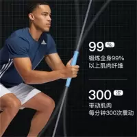 西屋Westinghouse-飞力士棒