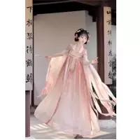 HD 唐制汉服女齐胸破袖汉元素重工绣花春夏日常汉服 [粉色]破袖上衣+下裙+刺绣披肩S