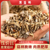 果菌鲜鹿茸菇碎炖汤料包干货食用菌菇 500g/袋