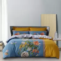 水星家纺 全棉四件套DH欢聚-S04(抗菌)/200×230cm/gd/套