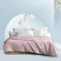 水星家纺 蚕丝被DH若影雅致蚕丝被(水晶玫瑰色)/200cm×230cm/gd/条