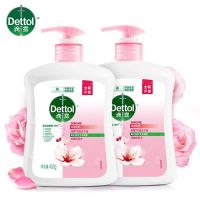 滴露(Dettol)健康洗手液500g/瓶 滋润倍护